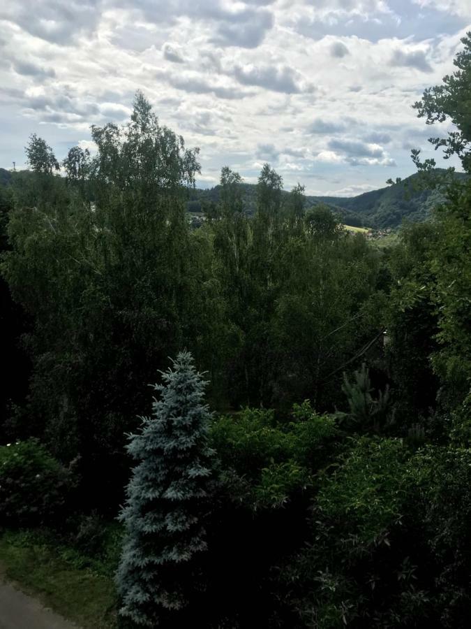 Апартаменти Apartament Roti Solina Солина Екстер'єр фото