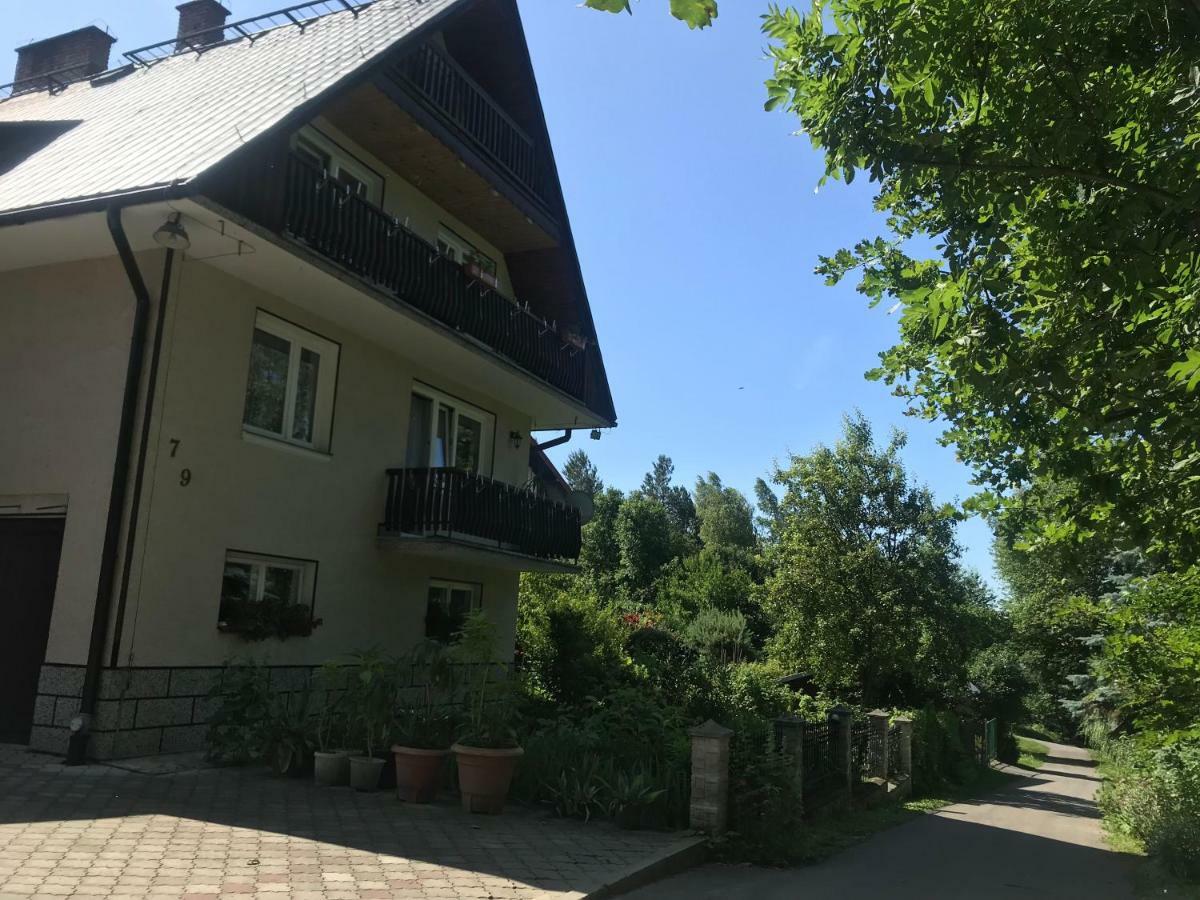 Апартаменти Apartament Roti Solina Солина Екстер'єр фото